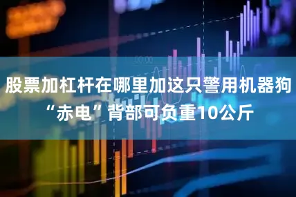 股票加杠杆在哪里加这只警用机器狗“赤电”背部可负重10公斤