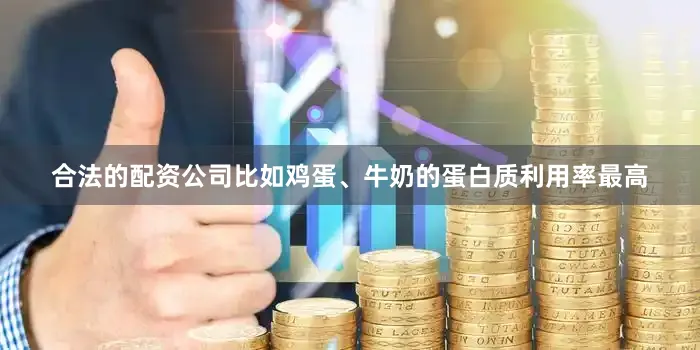 合法的配资公司比如鸡蛋、牛奶的蛋白质利用率最高