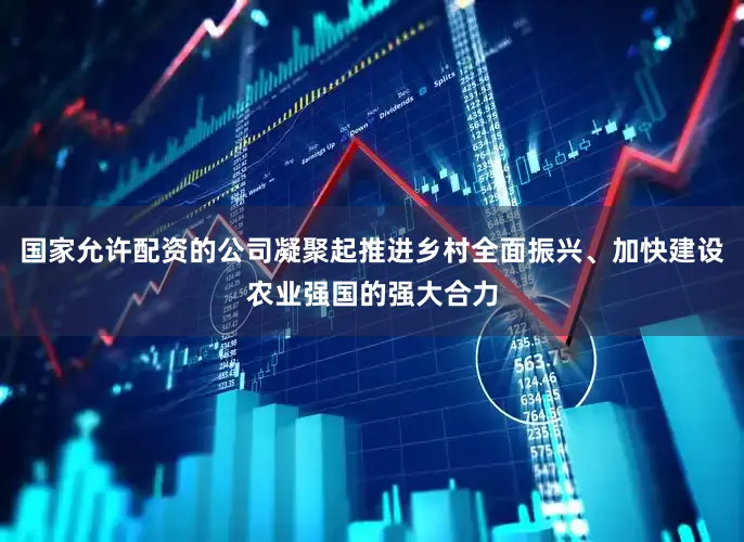 国家允许配资的公司凝聚起推进乡村全面振兴、加快建设农业强国的强大合力